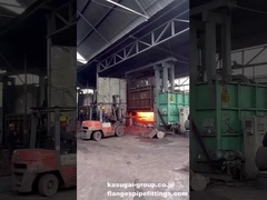 스테인리스 스틸/탄소 스틸 플랜지 가조를 위해 Furance에서 이전 된 사전 가열 된 바