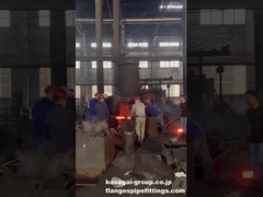 플랜지 처리를 위한 오픈 다이 鍛造 - ASME/ANSI B16.5/B16.47 플랜지